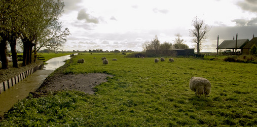 Similar image 8104408