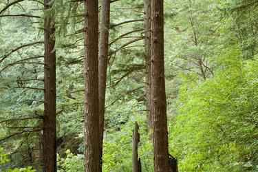 Similar image 8104418