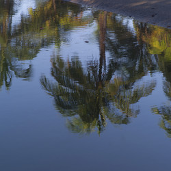 Similar image 8104421