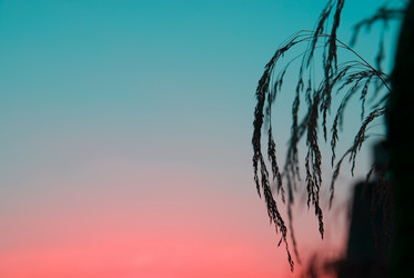 Similar image 8104425