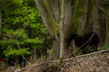 Similar image 8104431