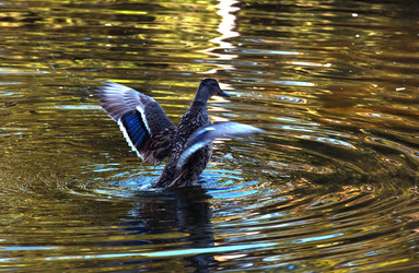 Similar image 8104438