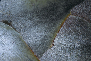 Similar image 8104452