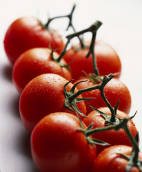 Similar image 8104456