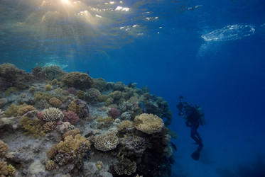 Similar image 8104462