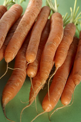 Similar image 8104471