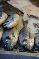 Similar image 8104485