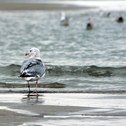 Similar image 8104486