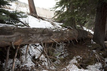 Similar image 8104492