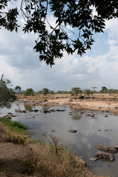 Similar image 8104495