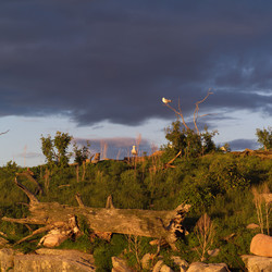 Similar image 8104498