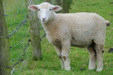 Similar image 8104510