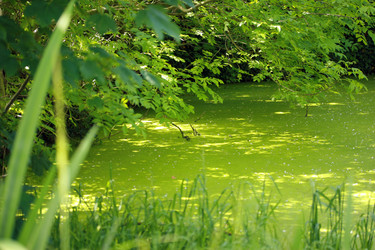 Similar image 8104516