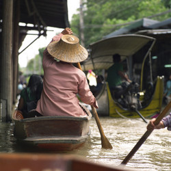 Similar image 8104519