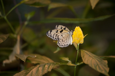 Similar image 8104520