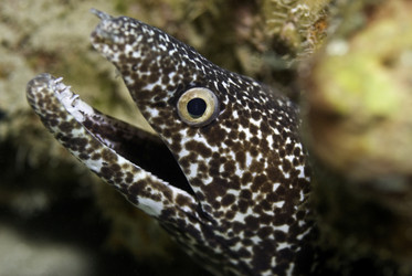 Similar image 8104529