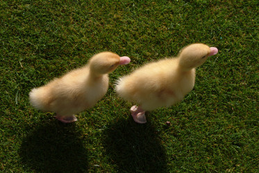 Similar image 8104532