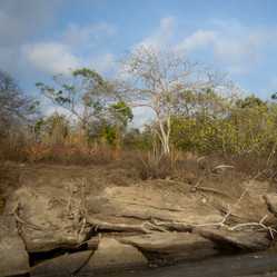 Similar image 8104534