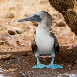 Similar image 8104544