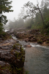 Similar image 8104545