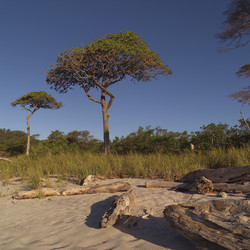 Similar image 8104549