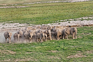 Similar image 8104553