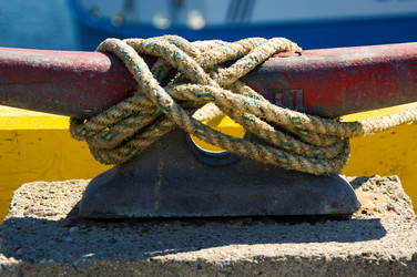 Similar image 8104556