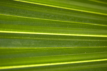 Similar image 8104560