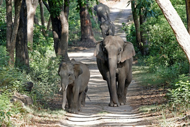 Similar image 8104561