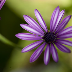 Similar image 8104574