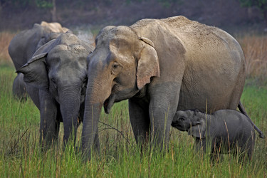 Similar image 8104579