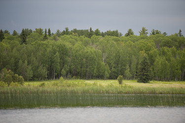 Similar image 8104585