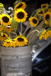 Similar image 8104591