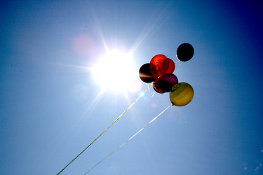 Similar image 8104594