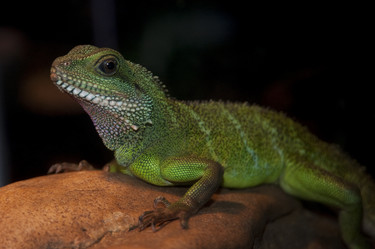 Similar image 8104608