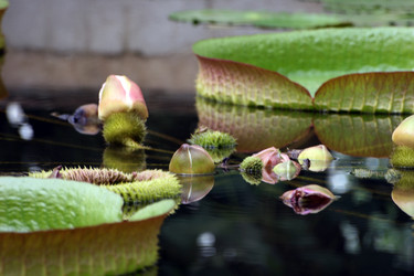 Similar image 8104659