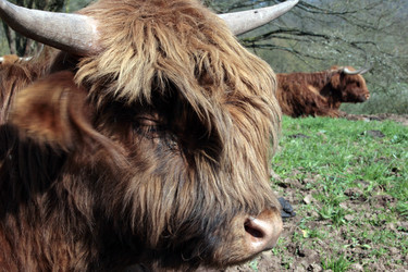 Similar image 8104670