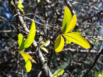 Similar image 8104715