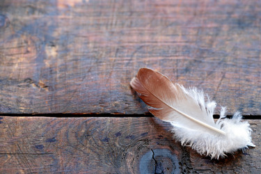 Similar image 8104886