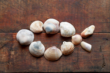 Similar image 8104887