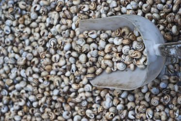 Similar image 8104992