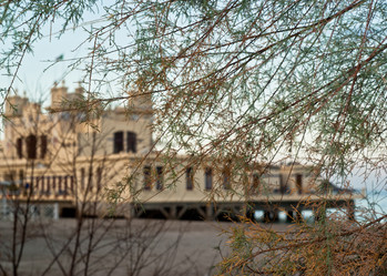 Similar image 8105001