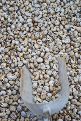 Similar image 8105021