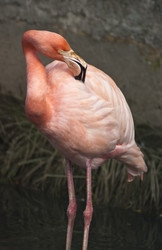 Similar image 8105022