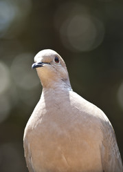 Similar image 8105029