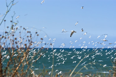 Similar image 8105124