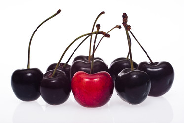 Similar image 8105180