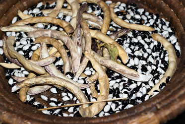 Similar image 8105209