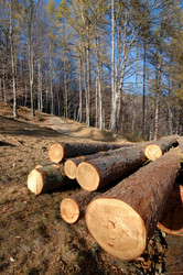 Similar image 8105489