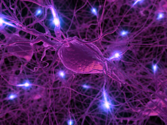 Similar image 8105511